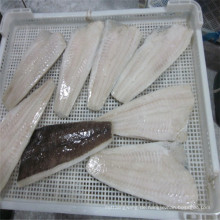 Gaishi wholesale frozen seafood frozen arrow tooth flounder fillet fish fillet for japanese sushi food sashimi